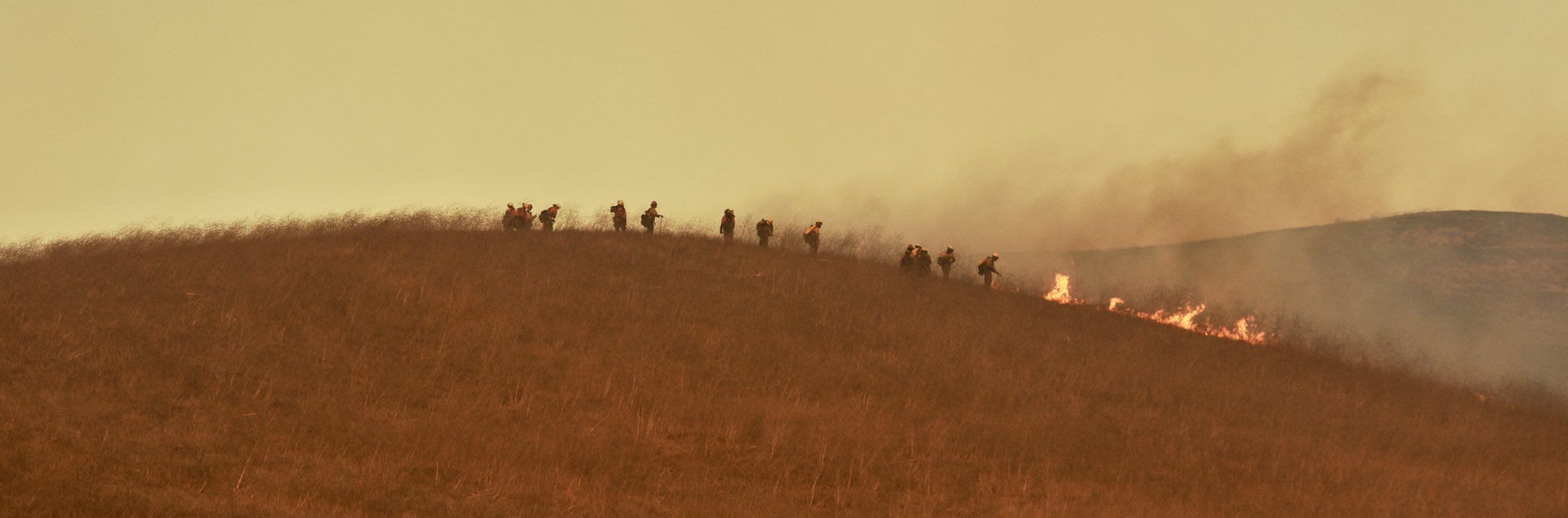 Alisal Fire 8